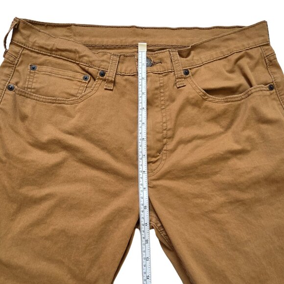 Levi - Picture 11 of 12